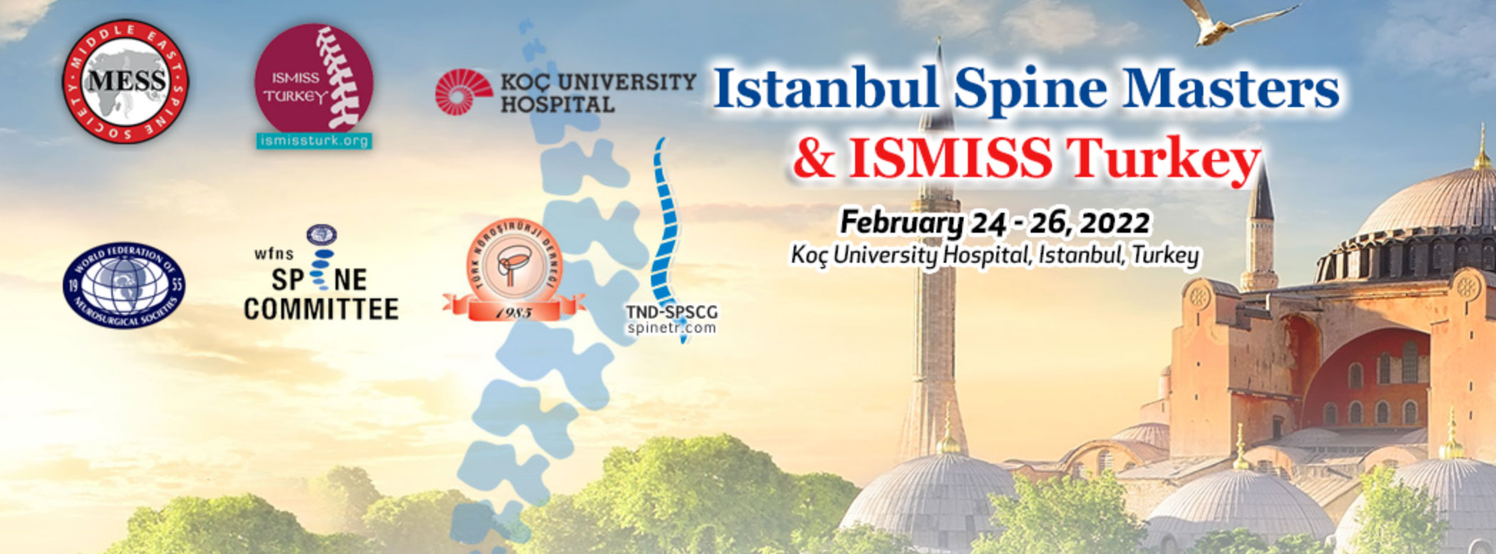 Istanbuel Spine Masters