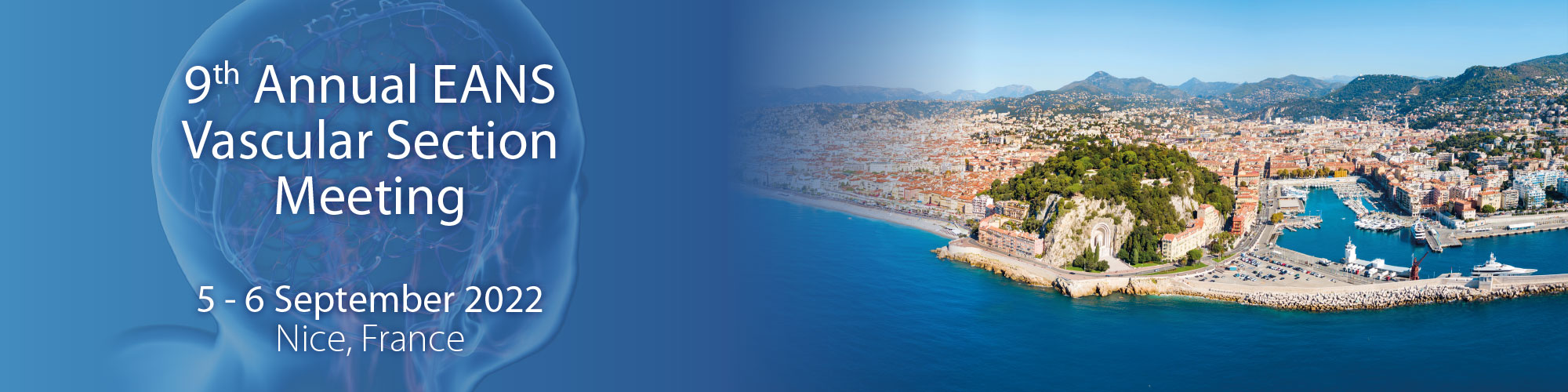 Vascular Section Meeting