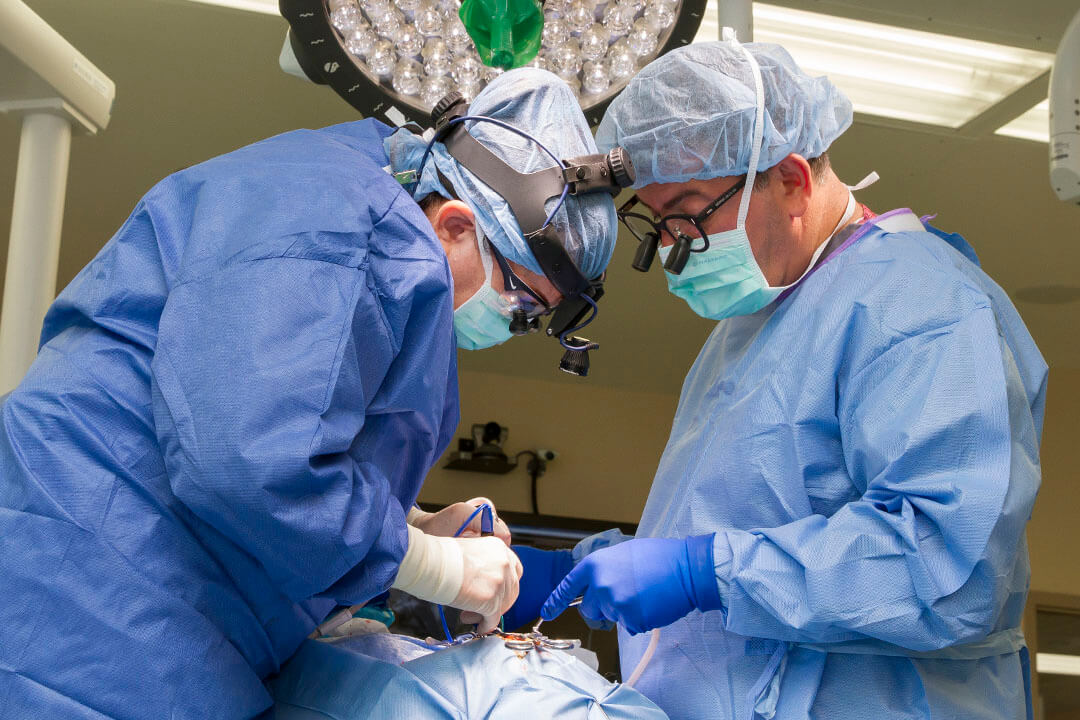 Neurocirugía vascular