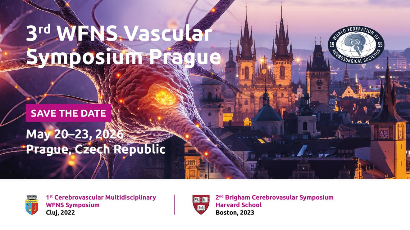 3rd WFNS Vascular Symposium Prague, Czech Republic