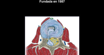 Revista Neurocirugía V51 N1
