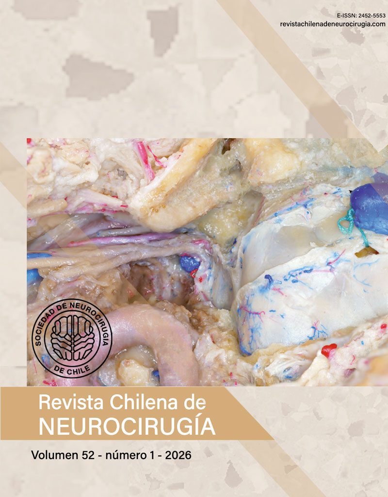 Revista de Neurocirugía V52 N1